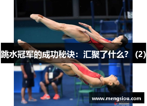 跳水冠军的成功秘诀：汇聚了什么？ (2)