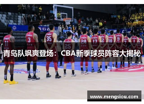 青岛队飒爽登场：CBA新季球员阵容大揭秘