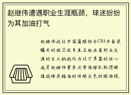赵继伟遭遇职业生涯瓶颈，球迷纷纷为其加油打气